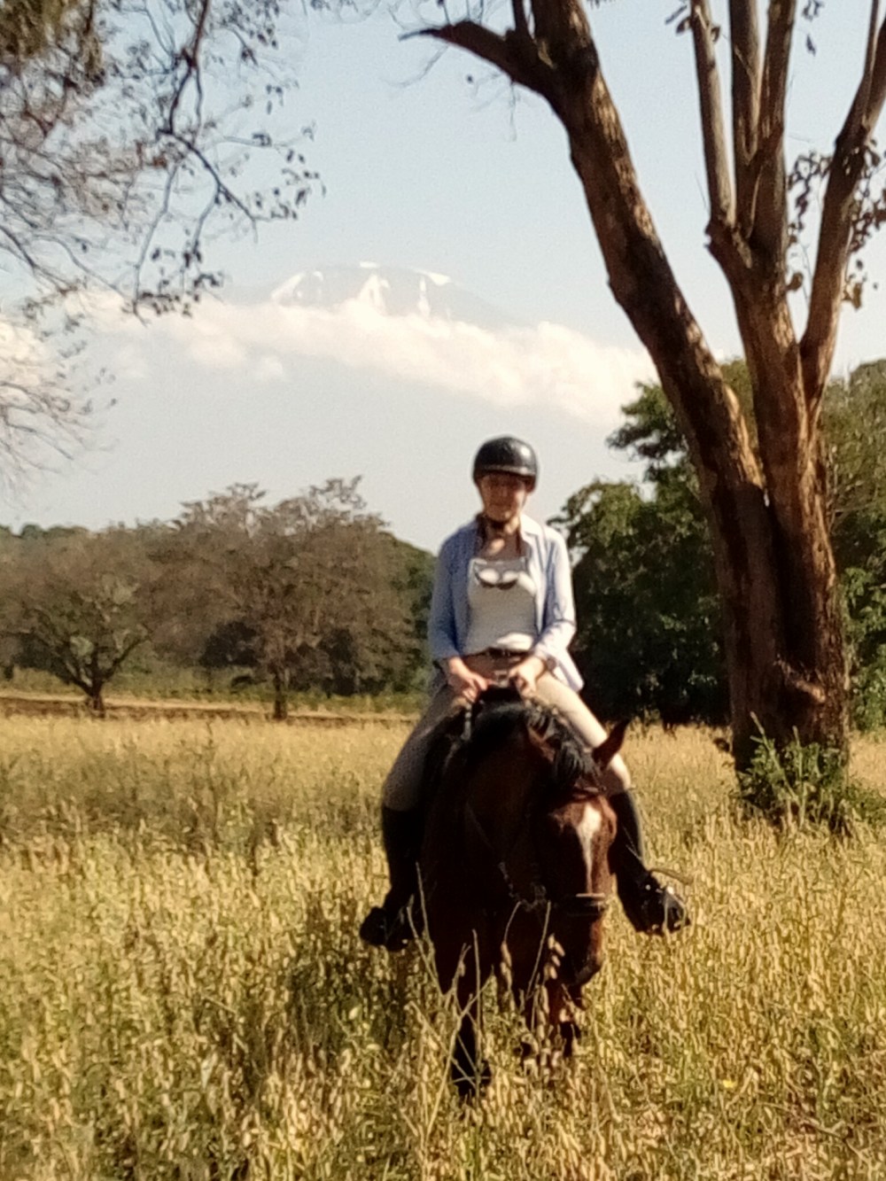 IMG_20170123_194551_412